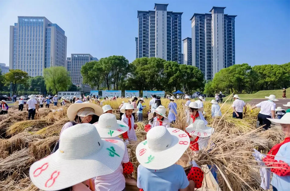 九洲公園舉辦“南昌城里有點田”秋收體驗活動 青少年體驗農(nóng)耕文化